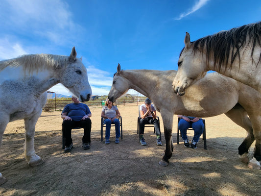 Harmonizing with Horses - May 9